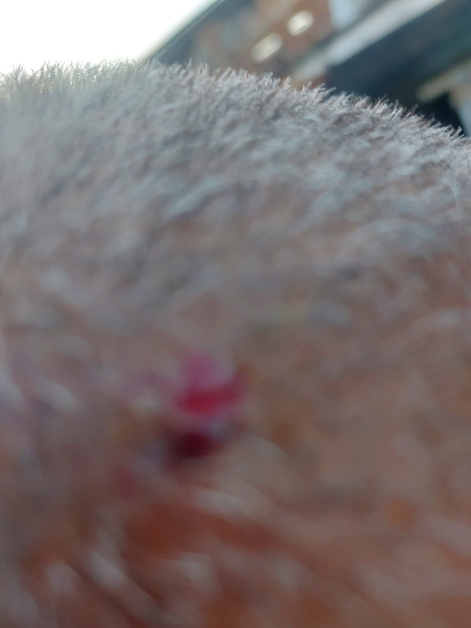 WhatsApp Image 2023-10-24 at 17.56.42 (1).jpeg